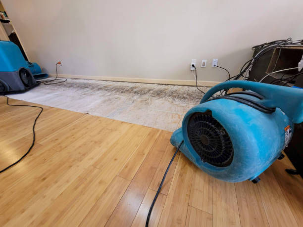 Professional Water Damage Repair technician working in West Mifflin, PA